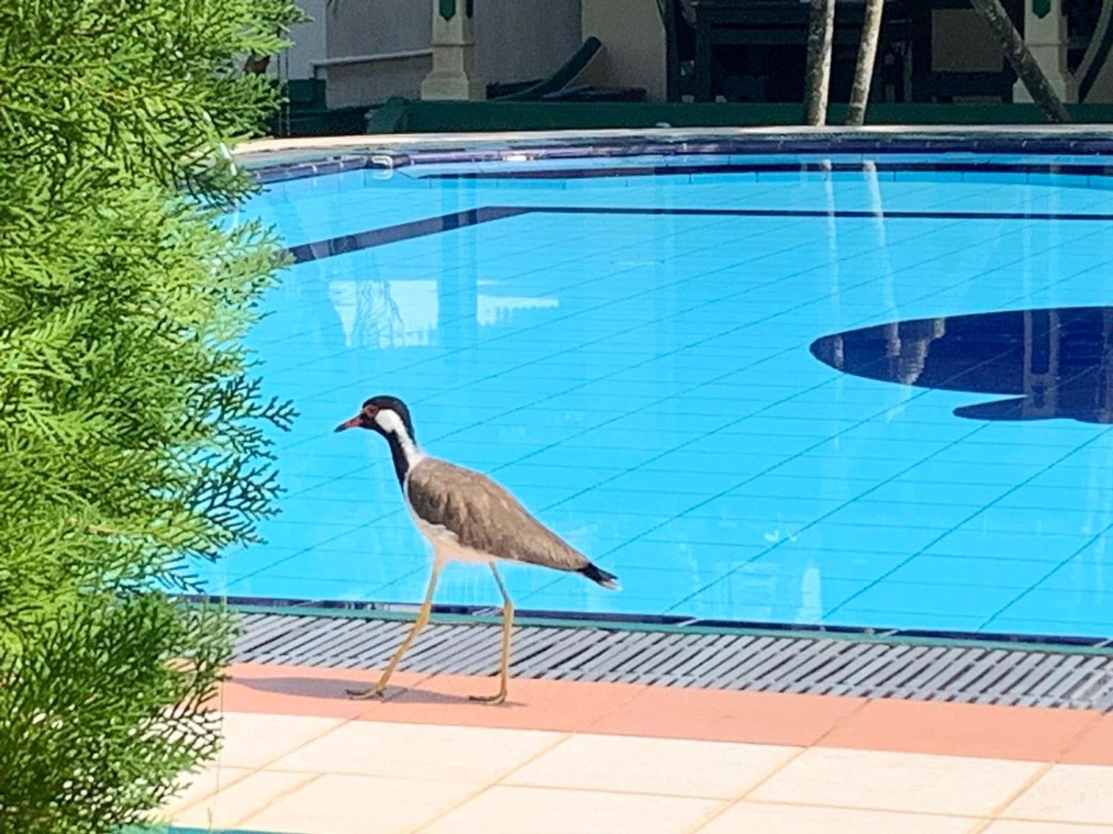 Sagarika Beach Hotel Moragalla Bagian luar foto