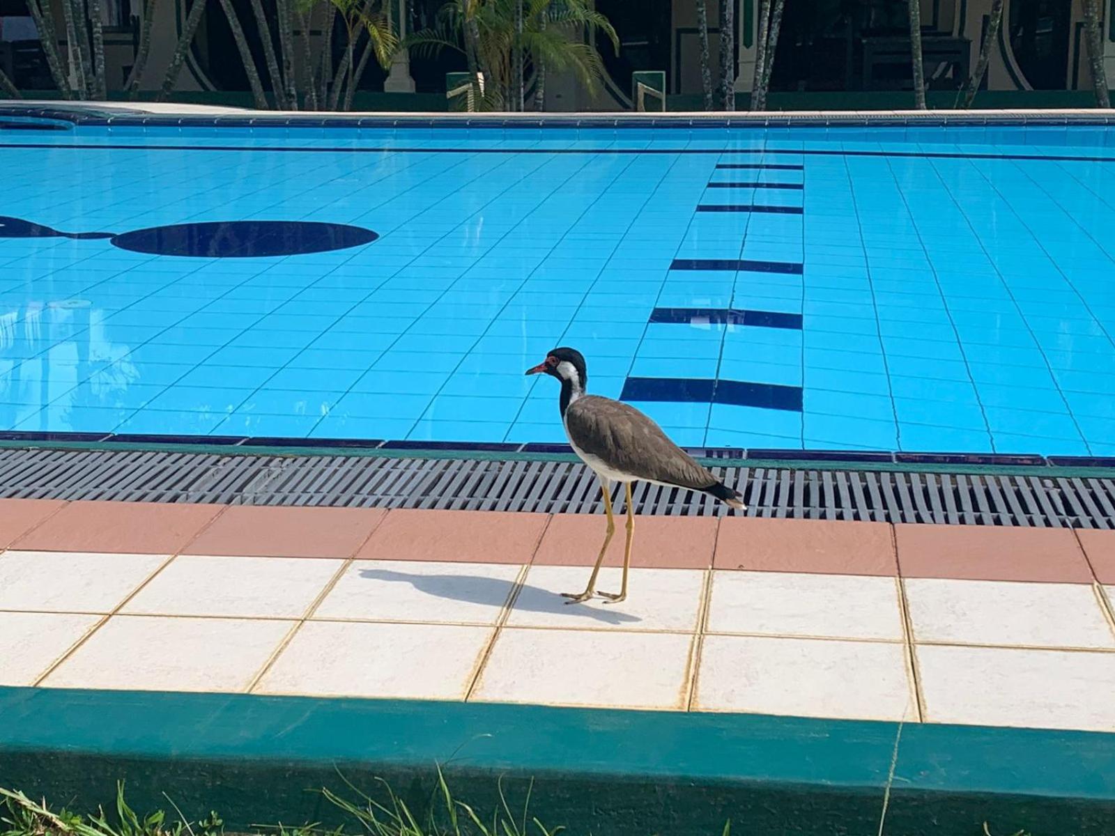 Sagarika Beach Hotel Moragalla Bagian luar foto